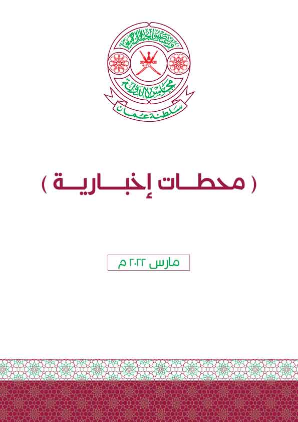 محطات إخبارية
